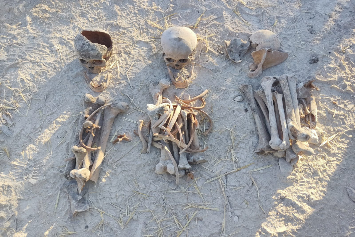 На высоте Фаррух обнаружены еще несколько человеческих останков -ВИДЕО 