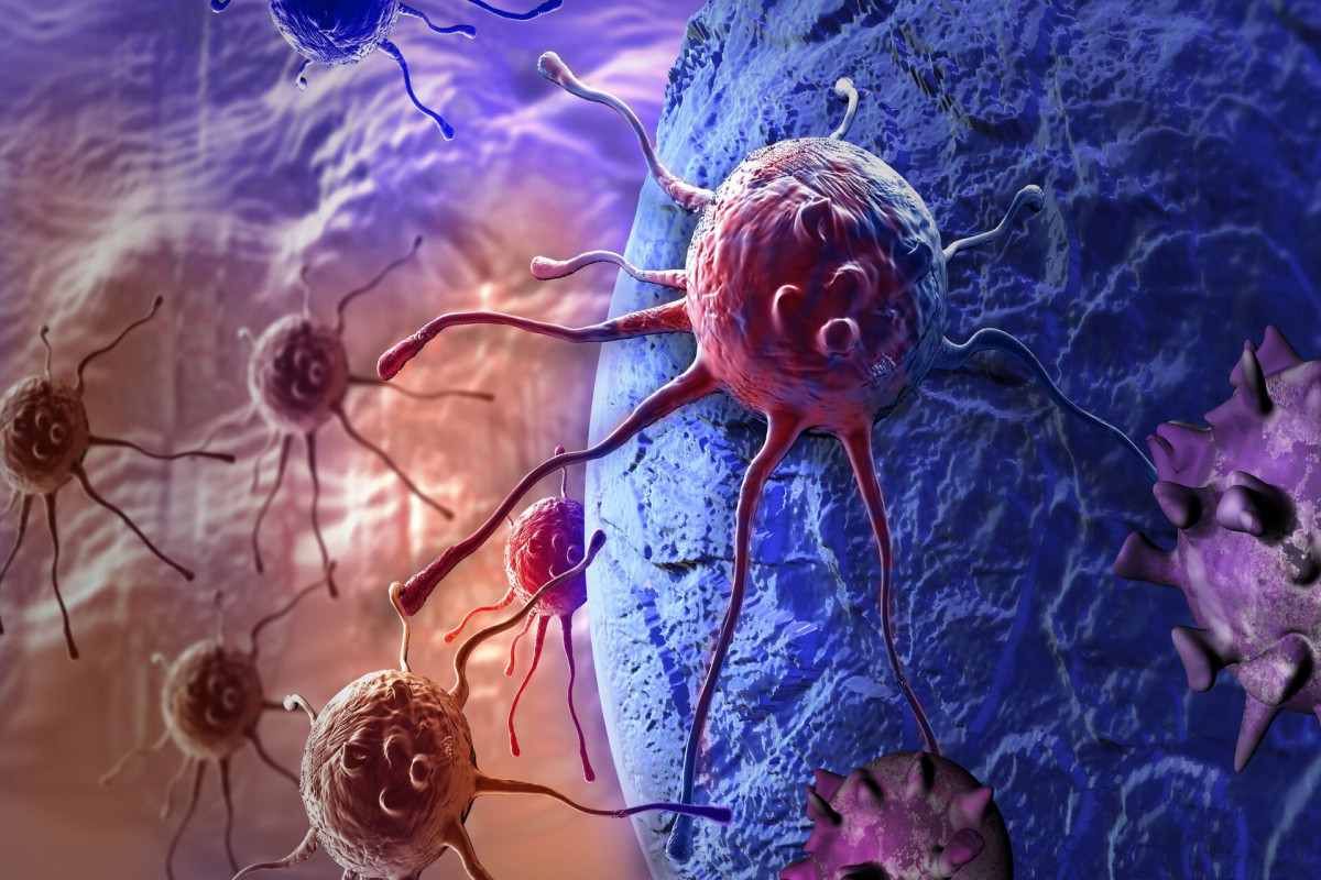 Названы три причины развития «мужского» рака