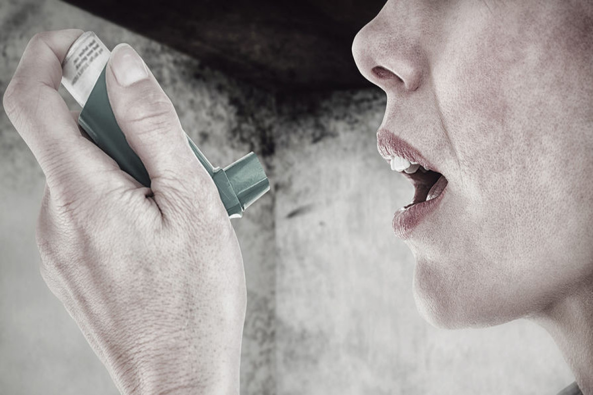 Исследование: Женские гормоны могут вызывать обострение астмы