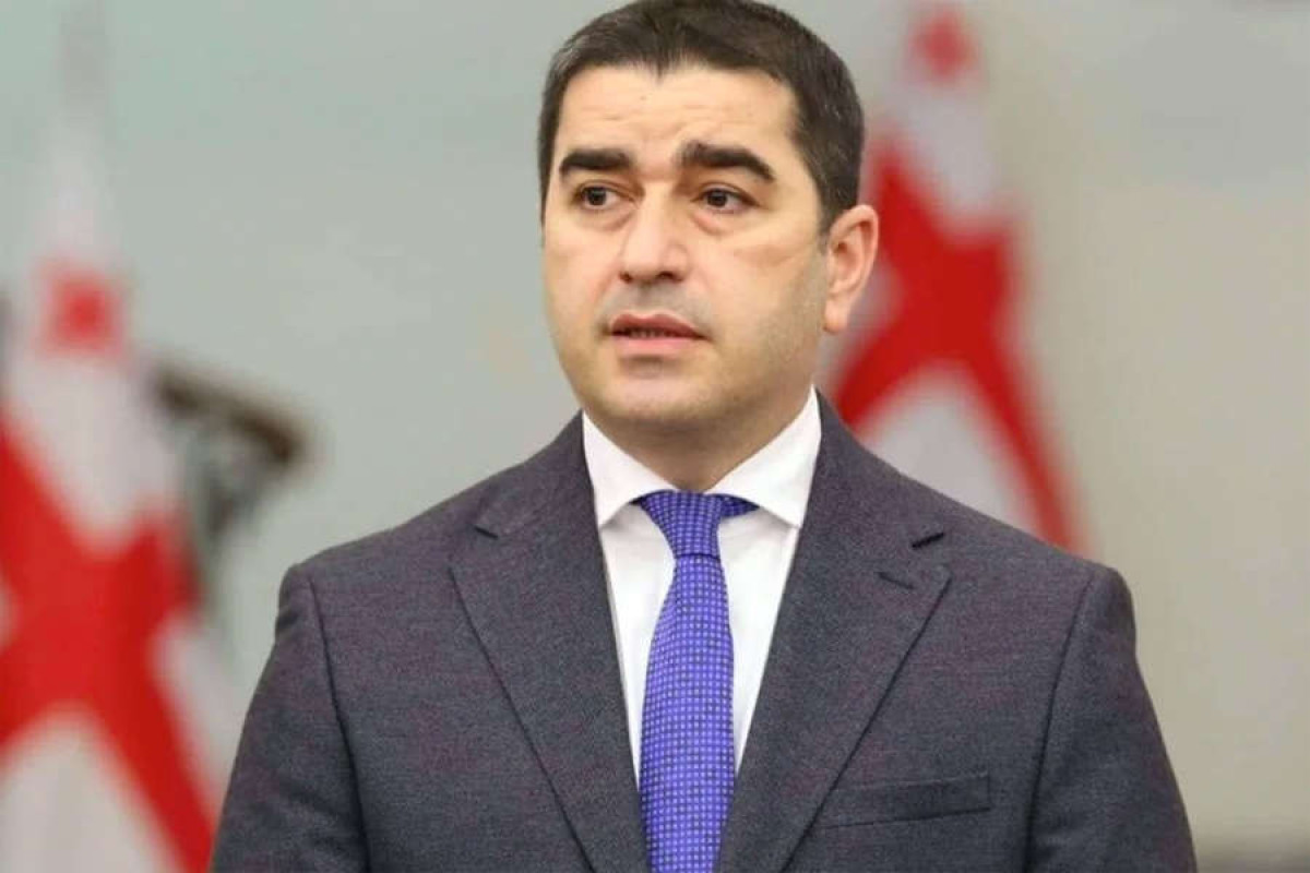 Председатель парламента Грузии Шалва Папуашвили