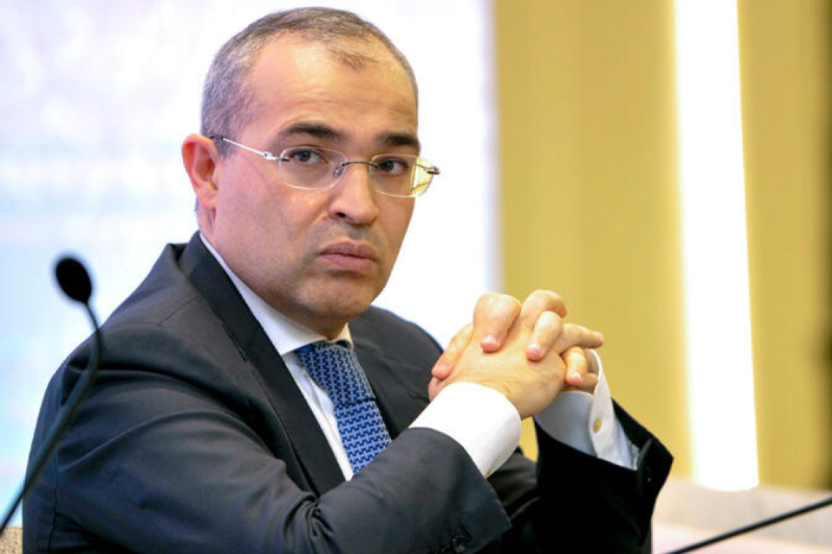 Министр экономики о льготах для резидентов промзон в Азербайджане