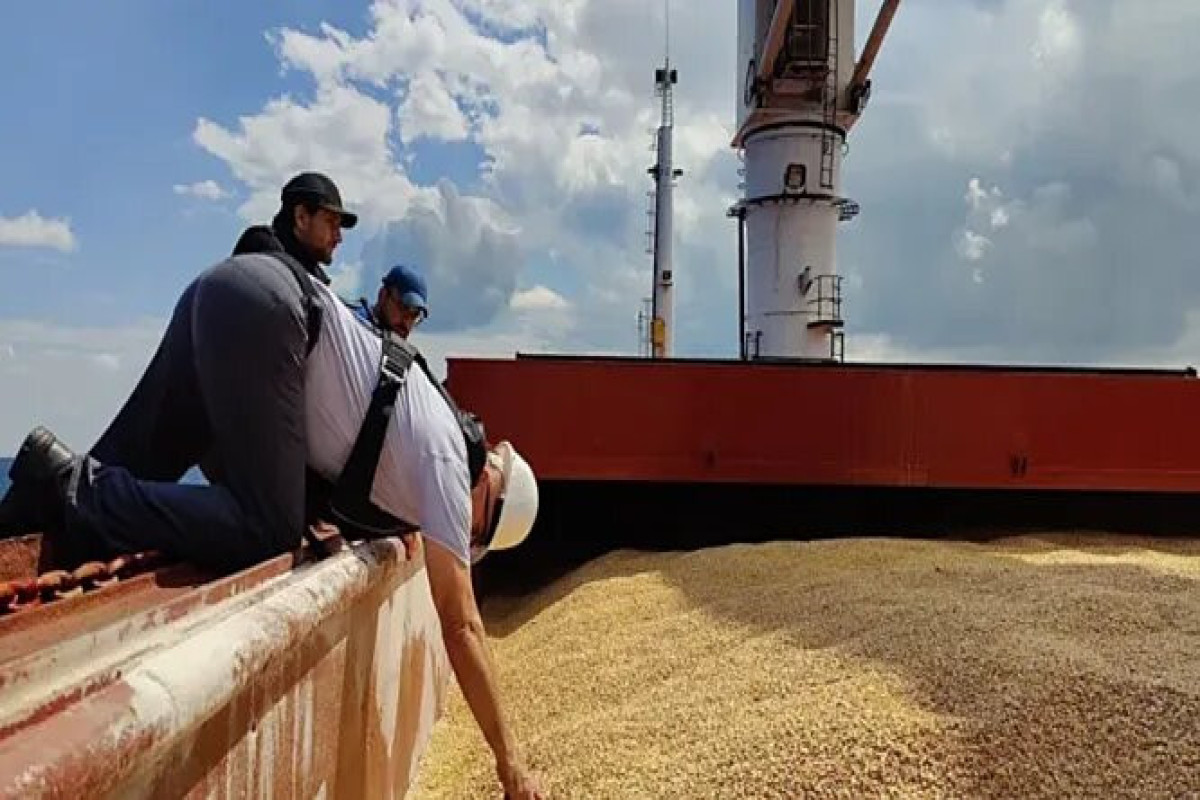 Два сухогруза с зерном покинули украинский порт