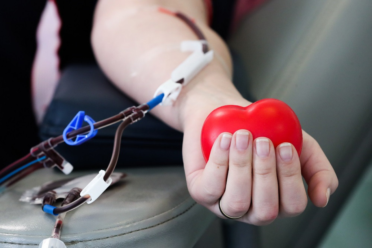 Минздрав Азербайджана о том, кто может стать донором крови 