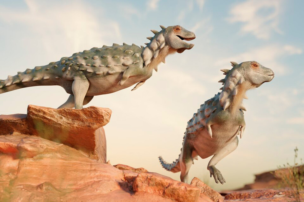 В Аргентине обнаружены останки неизвестного ранее динозавра