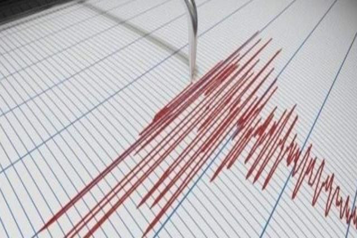 В Турции произошло землетрясение
