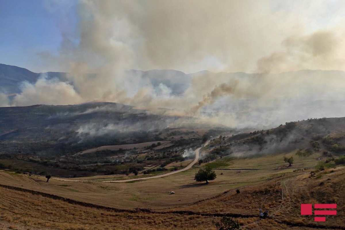 Крупный пожар, охвативший несколько северных районов Азербайджана, потушен-ВИДЕО 