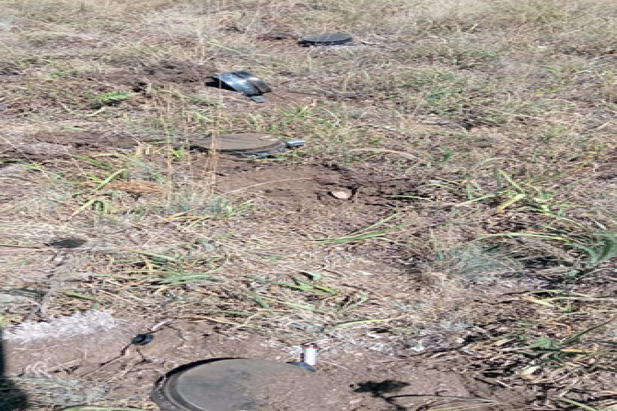 В Лачинском районе азербайджанские саперы обнаружили минное поле – ОБЕЗВРЕЖЕНО ОКОЛО ТЫСЯЧИ МИН   -ФОТО 