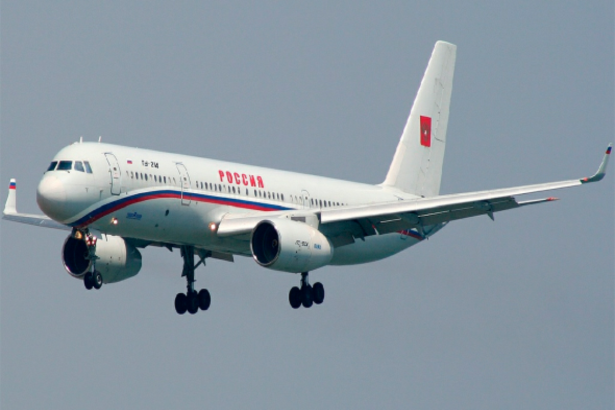 Птица помешала самолету премьер-министра России долететь до Москвы