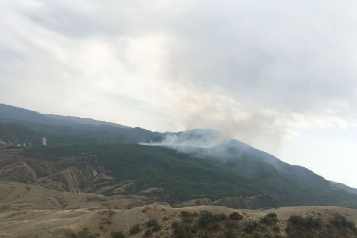 МЧС о тушении лесных пожаров в четырех районах Азербайджана-ВИДЕО 