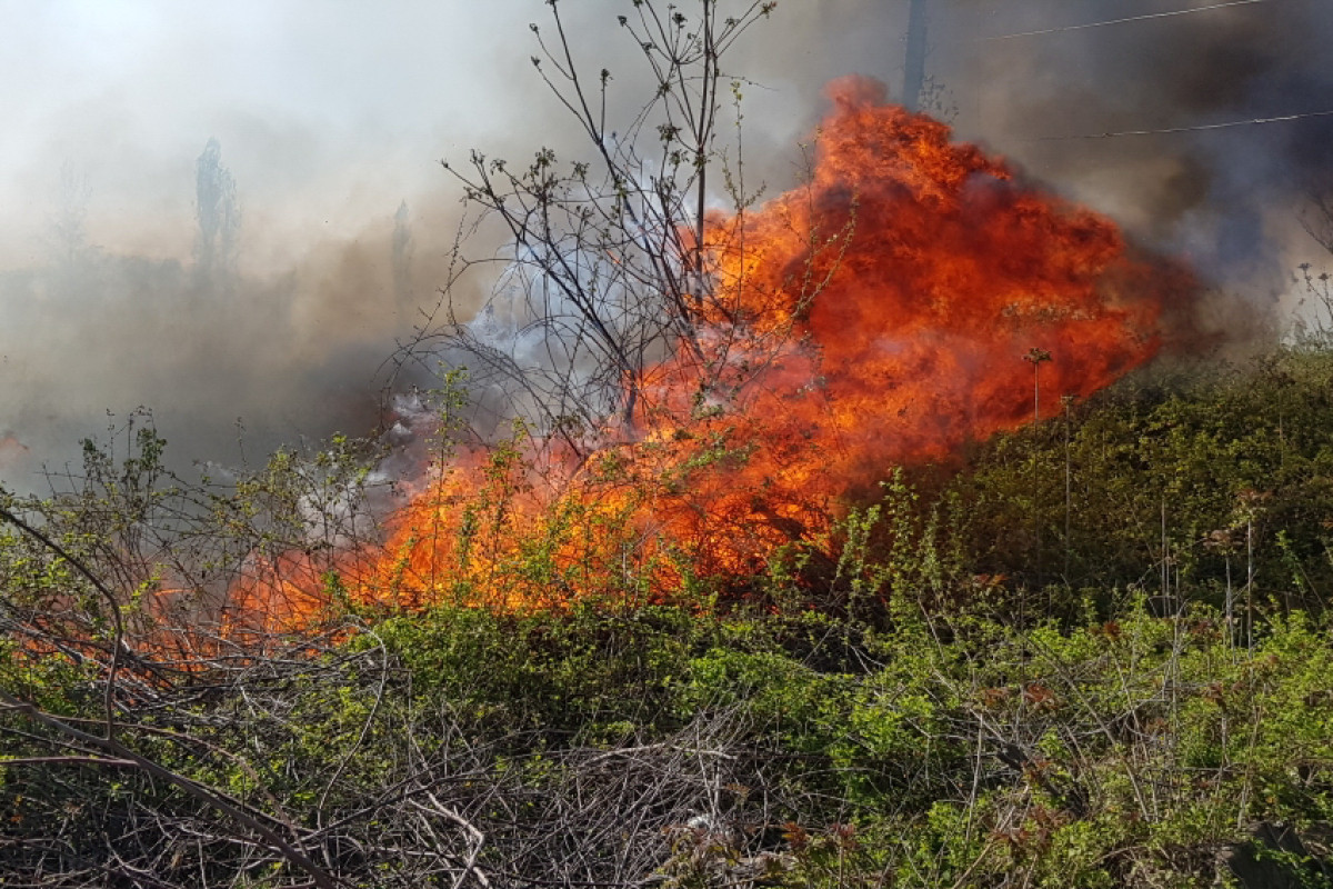 МЧС задействовал вертолет в тушении лесного пожара вблизи «Галаалты»-ВИДЕО 