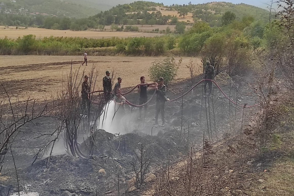 Сотрудники МЧС самоотверженно борются с пожарами в регионах Азербайджана-ФОТО -ВИДЕО 