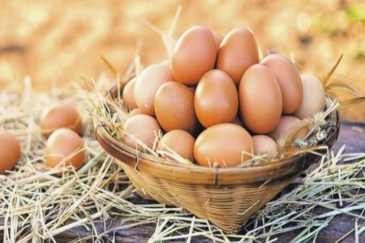Азербайджанские птицеводы заявили, что не повышали оптовых цен на яйца