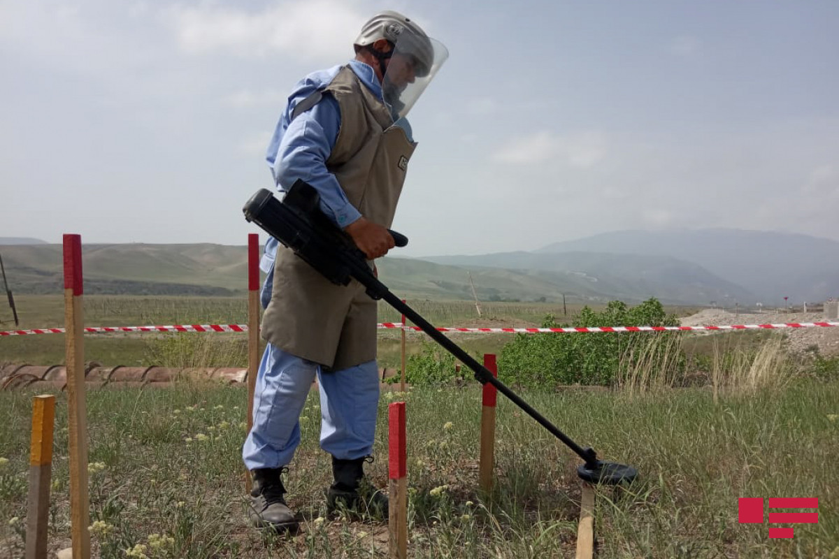 На освобожденных территориях Азербайджана обнаружено еще 379 мин