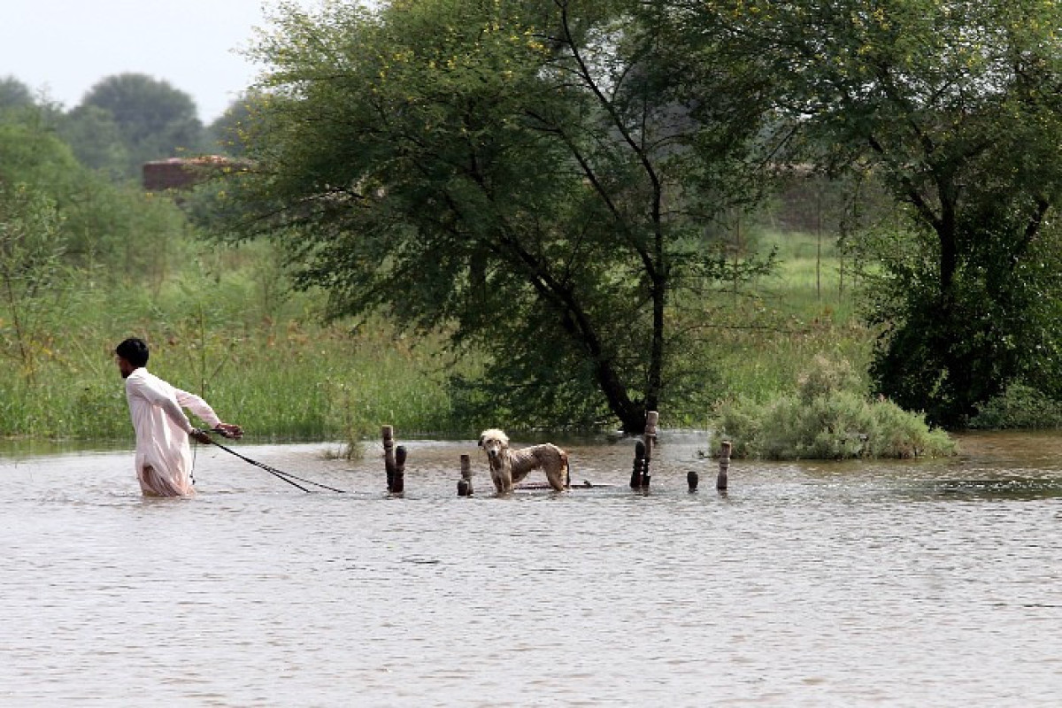 Пакистан запросил международную помощь для борьбы с последствиями наводнений