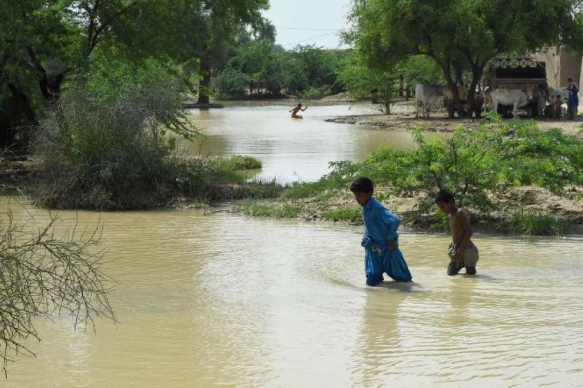 В Пакистане жертвами наводнений стали еще 119 человек