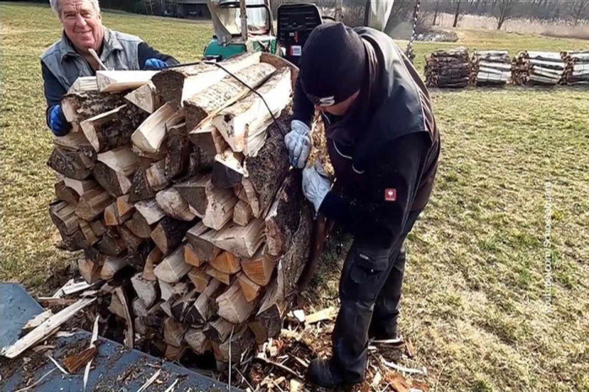 Жители Франции стали переходить на дрова из-за роста цен на газ