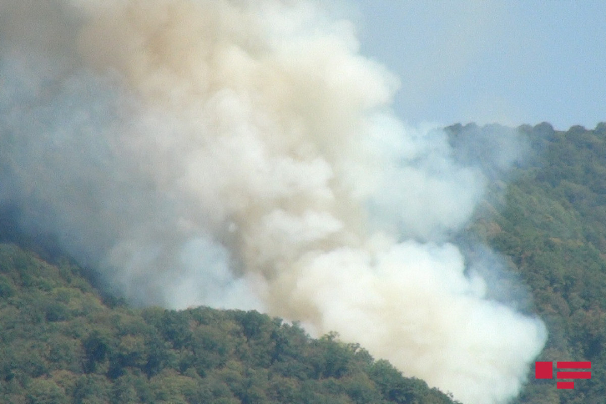 Лесной пожар в Загатале локализован -ФОТО -ОБНОВЛЕНО 