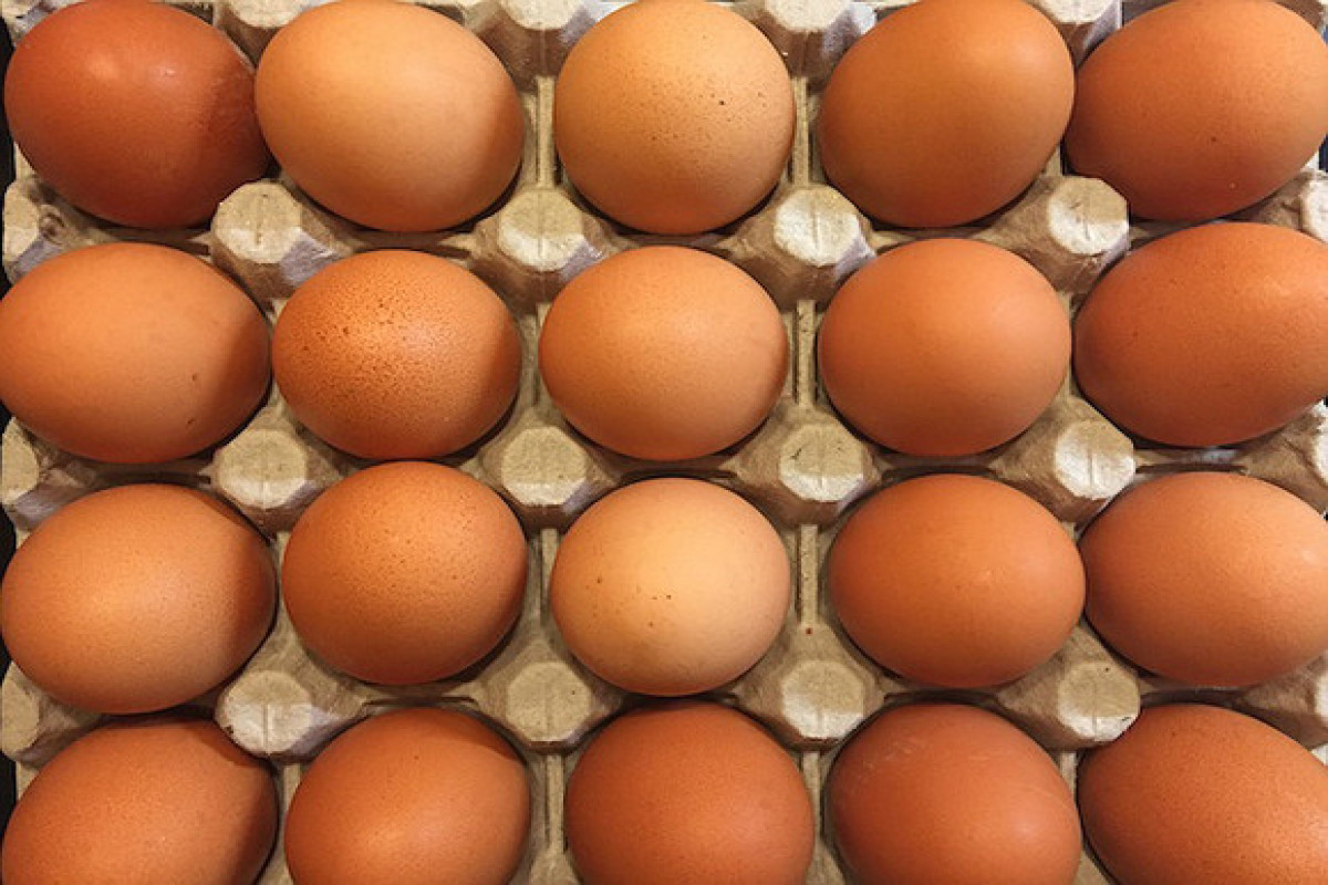 Диетолог посоветовал есть яйца, чтобы похудеть без диет