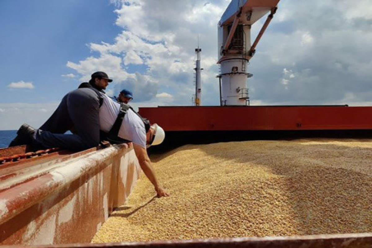 Судна с украинской кукурузой отправятся в Испанию и Турцию