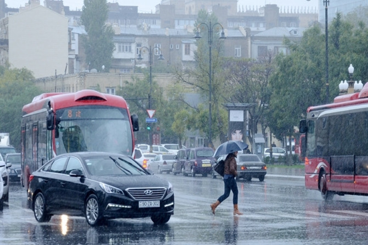 В Баку 194 маршрутных автобуса опаздывают по графику