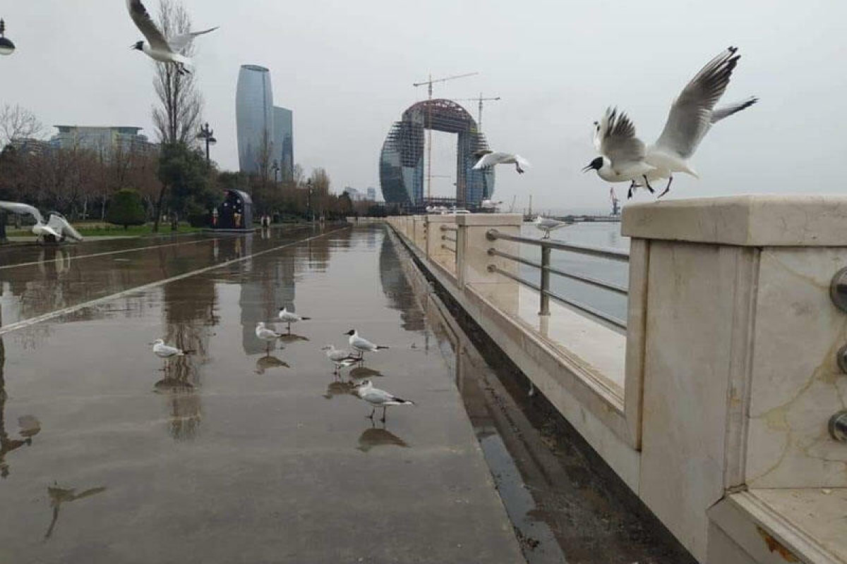 В воскресенье в Баку переменная облачность и изморось - ПРОГНОЗ ПОГОДЫ 