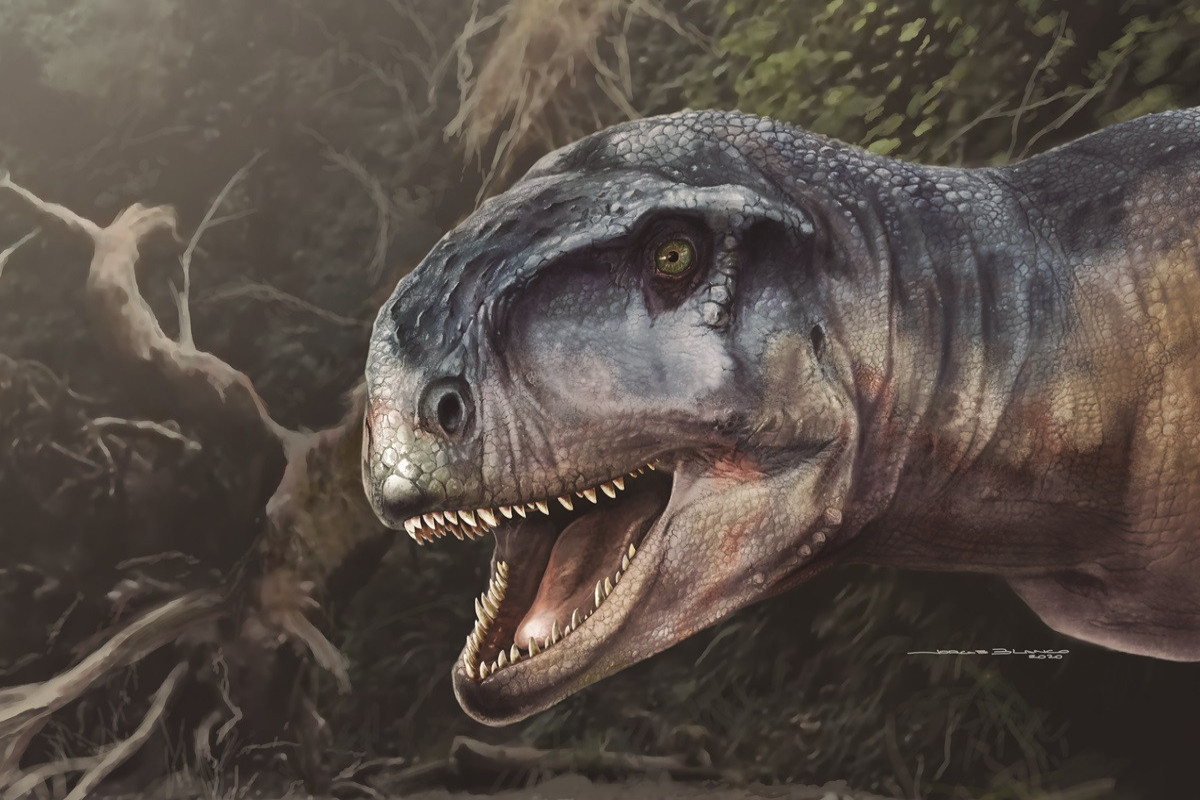 В Аргентине нашли останки нового вида небольших динозавров - они жили около 70 млн лет назад