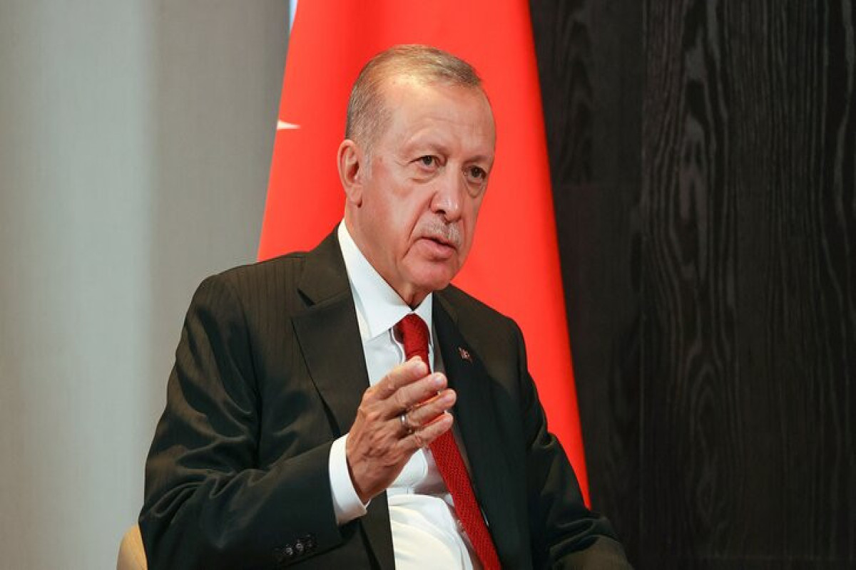 Эрдоган озвучил цели совместных военных учений 