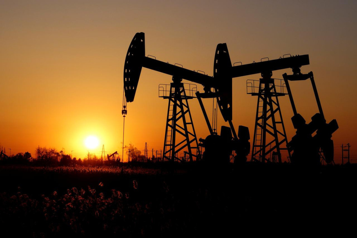 В Турции найдены месторождения нефти с запасами в 150 млн баррелей