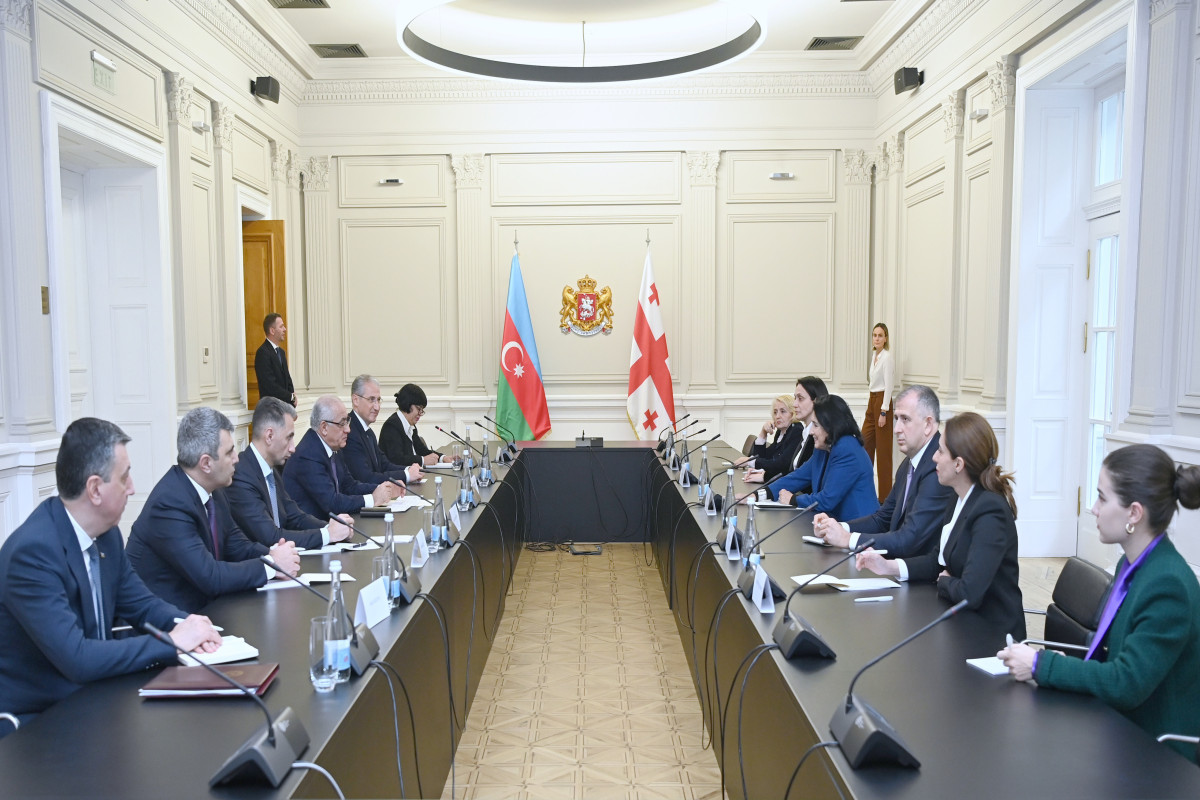 Али Асадов встретился с Президентом Грузии-ФОТО 