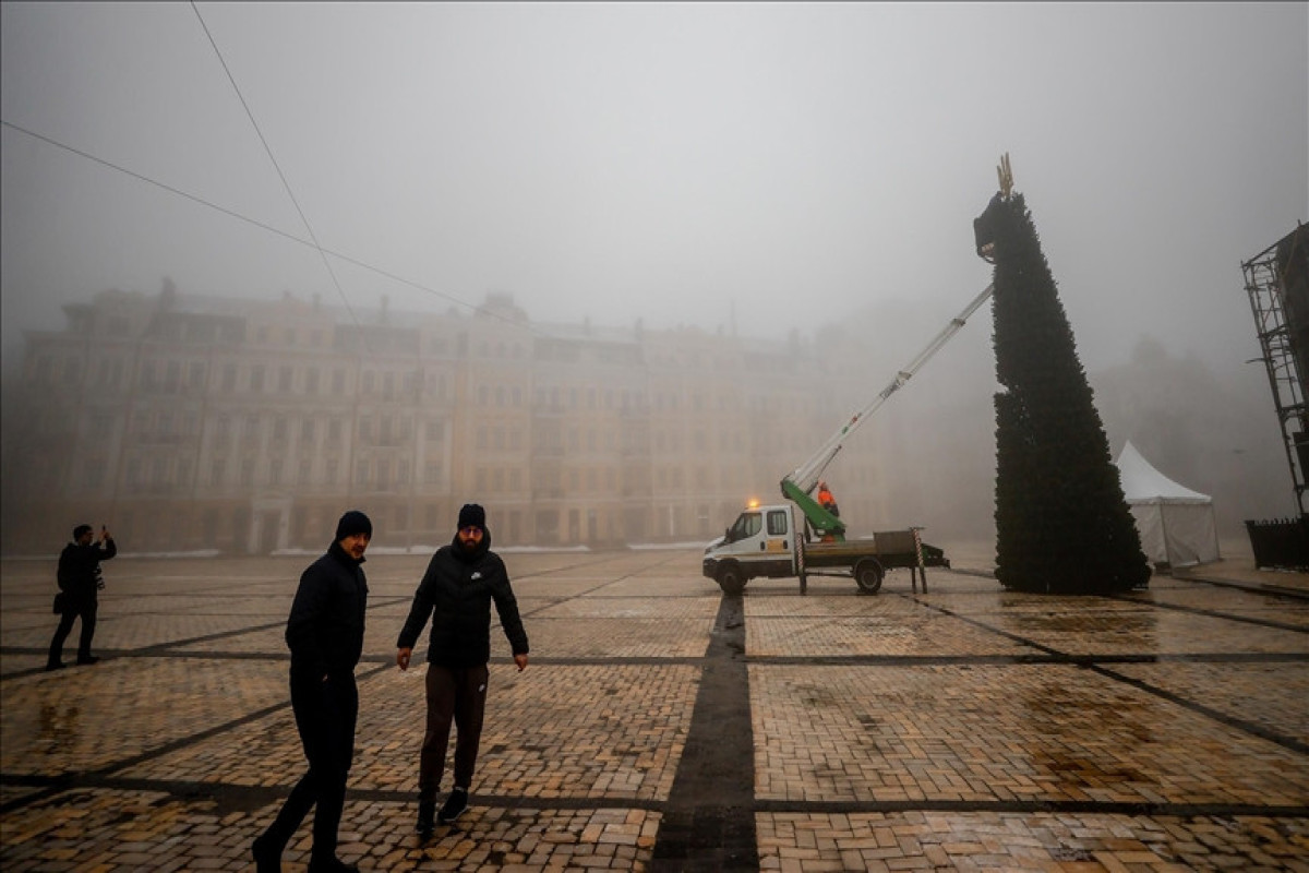 В центре украинской столицы установили новогоднюю елку