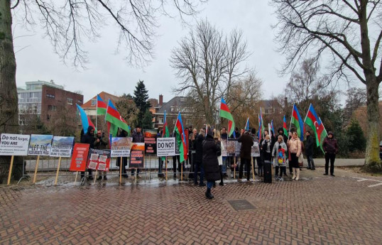 Акция и шествие азербайджанцев в Гааге
