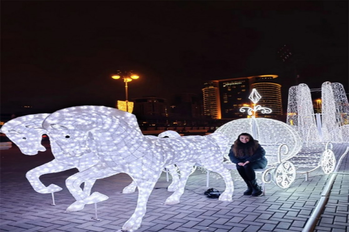 Лейла Алиева поделилась публикацией в связи с подготовкой к Новому году в столице-ФОТО 