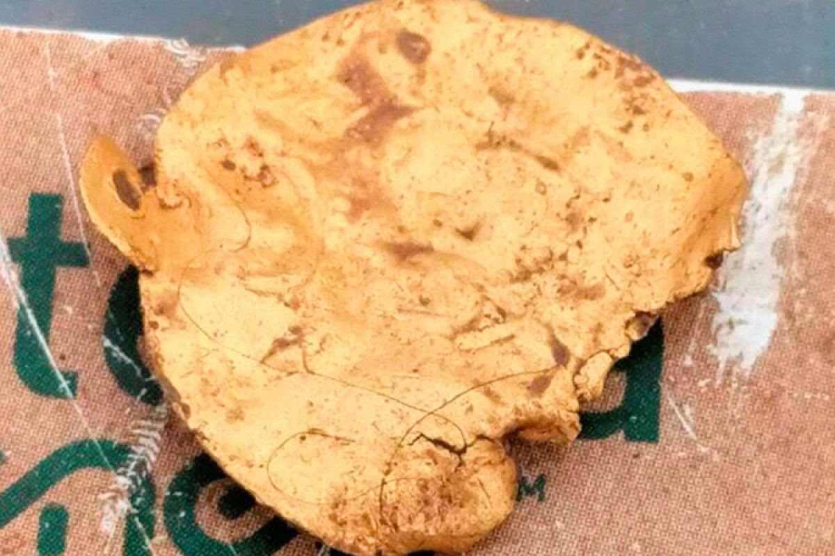 Копатель с металлоискателем неожиданно нашел римскую золотую серьгу
