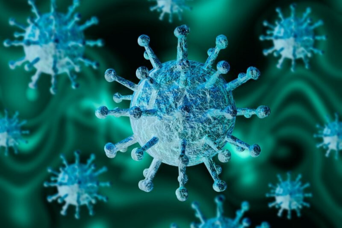 Количество инфицированных коронавирусом в США за сутки превысило миллион