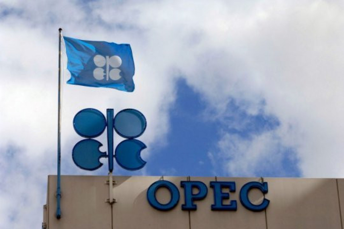 Члены ОПЕК+ продолжат увеличивать добычу нефти в феврале