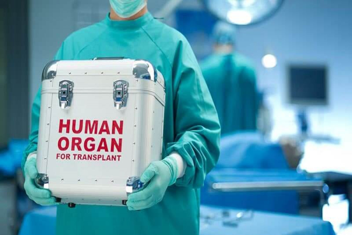 В Азербайджане приступят к трансплантации органов умерших