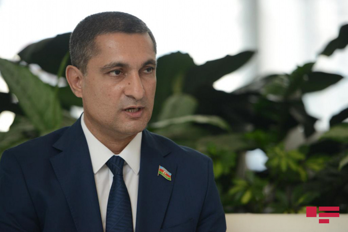 Руководитель азербайджано-французской рабочей группы по межпарламентским связям Солтан Мамедов