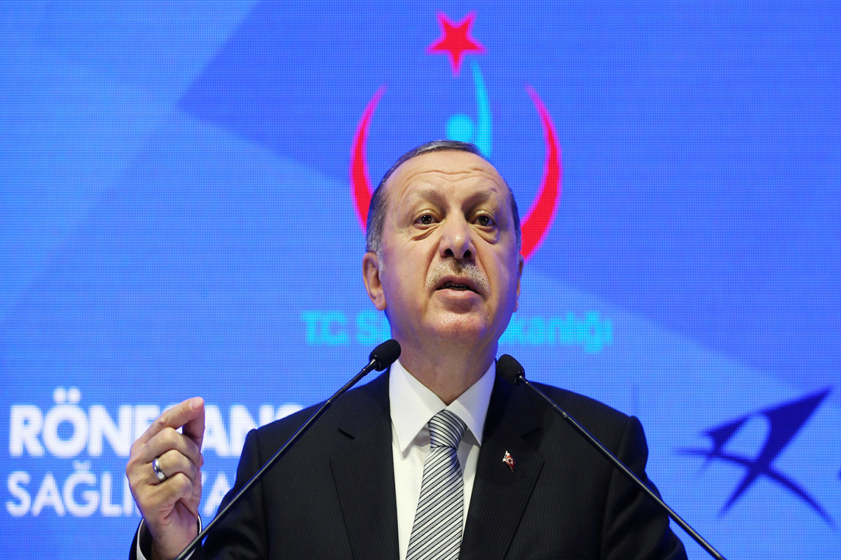 Эрдоган прокомментировал оскорбление в свой адрес от журналистки