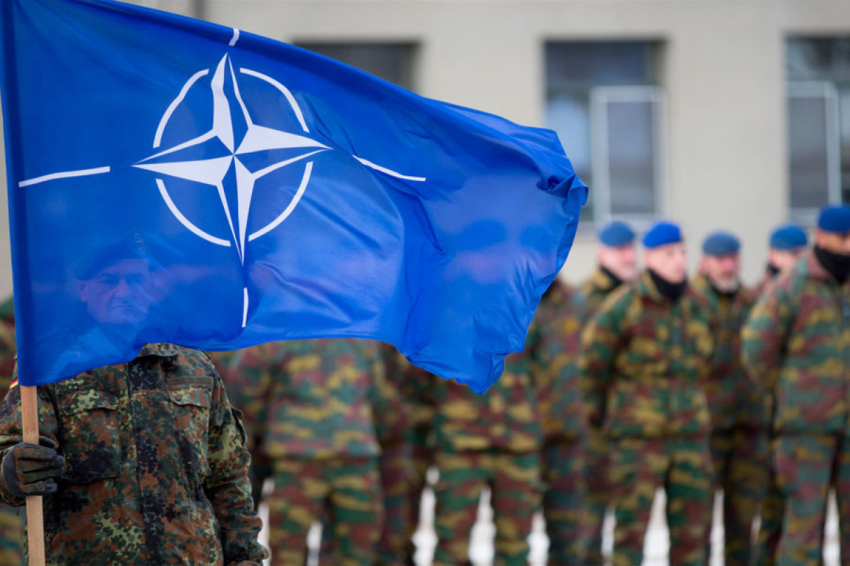 Граждане Германии призвали распустить НАТО