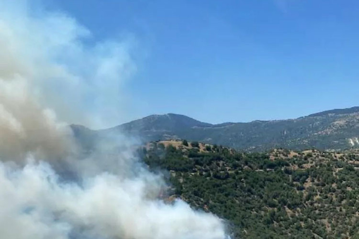 В Измире вспыхнули лесные пожары
