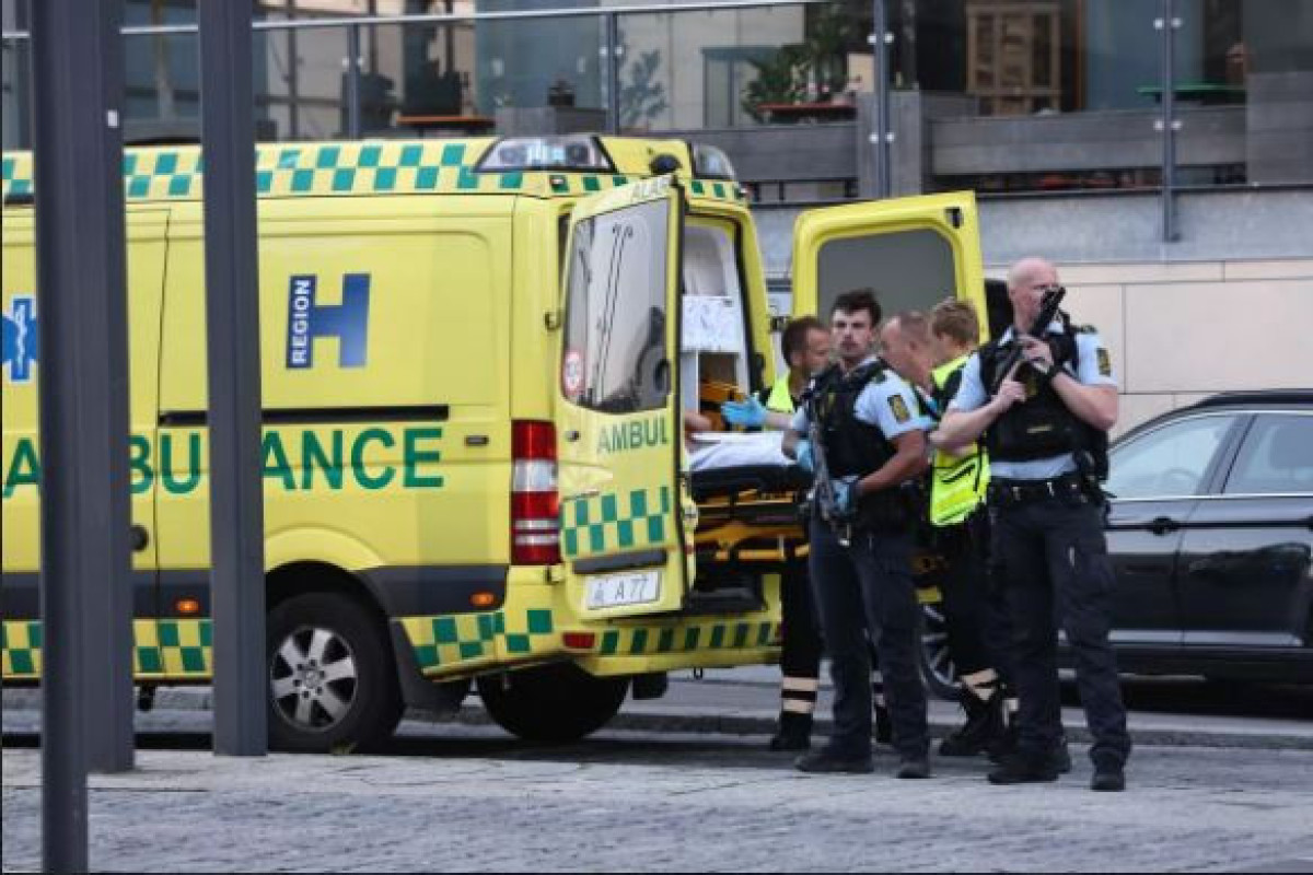 Несколько человек погибли при стрельбе в ТЦ в Копенгагене