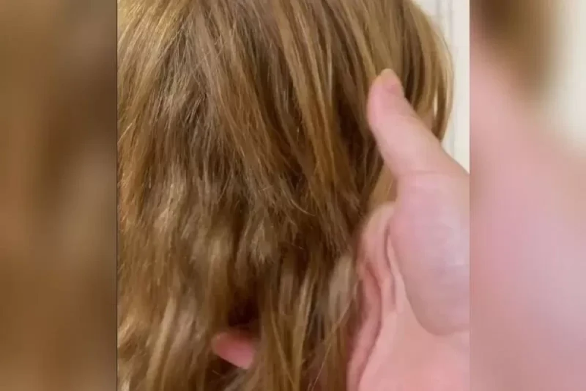Краснодарская полиция проверит инцидент с педагогом, которая остригла девочке волосы