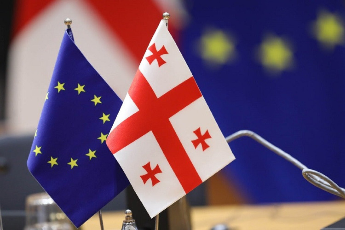 Правительство Грузии обязуется выполнять все рекомендации Еврокомиссии для получения статуса кандидата в ЕС