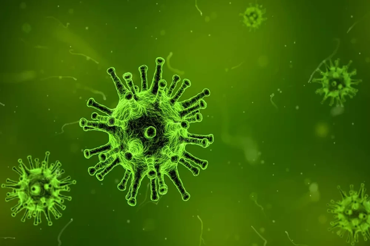 В мире растет число заражений коронавирусом и выявлен новый подвид омикрона
