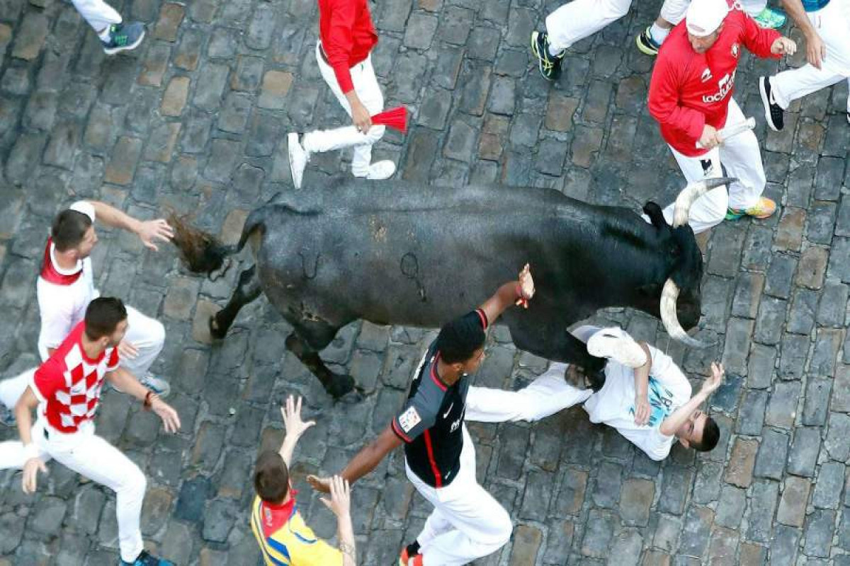Шесть человек пострадали при забеге быков в Памплоне-ВИДЕО 