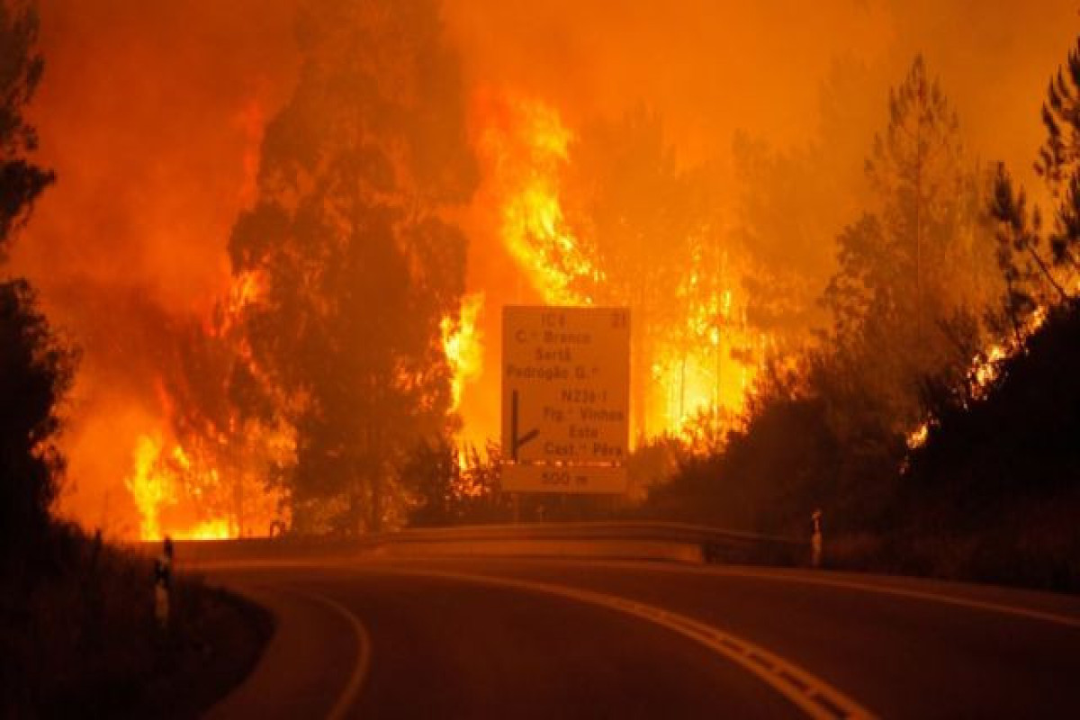 В Португалии бушуют лесные пожары, пострадали десятки человек-ВИДЕО 