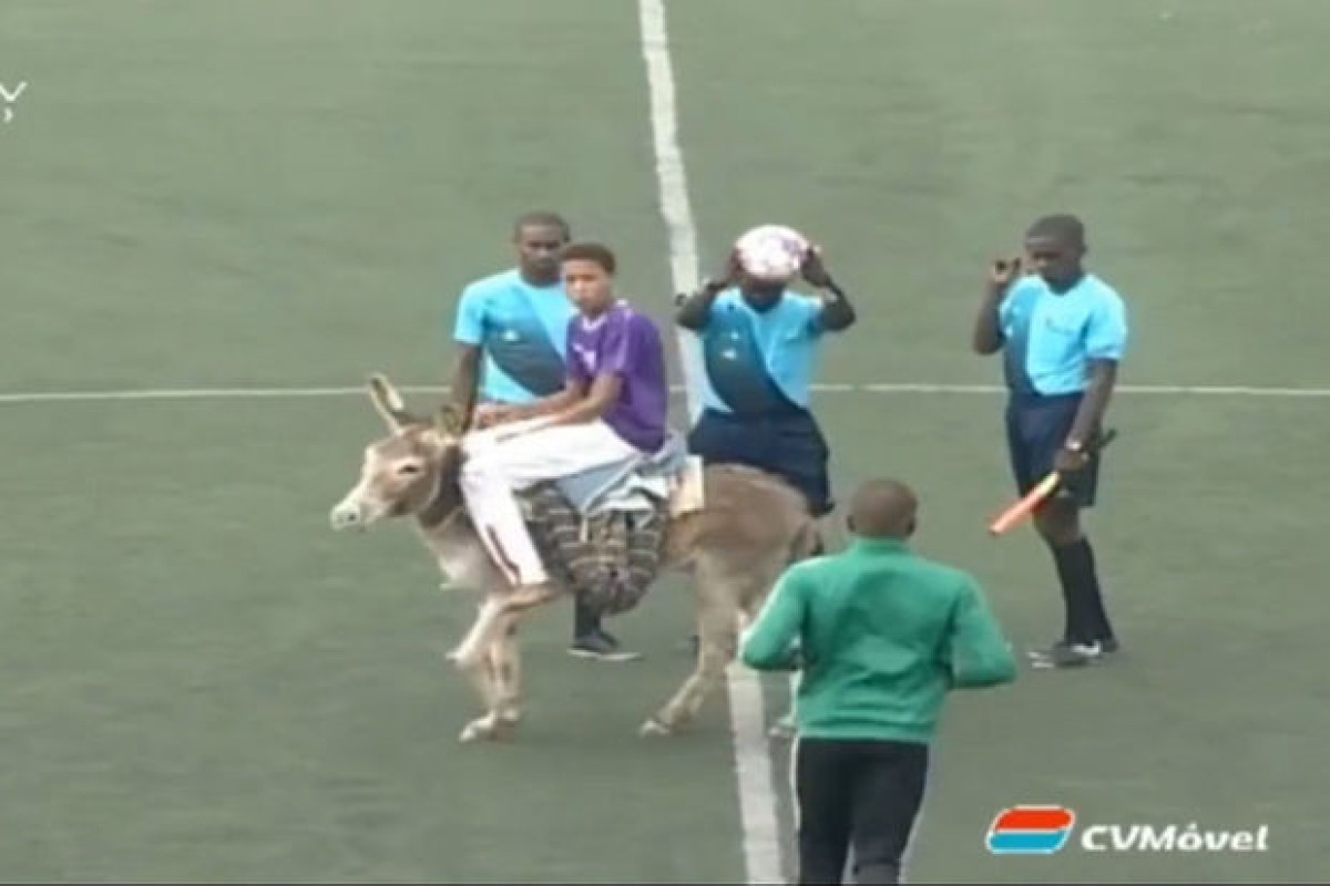 В одном из матчей в Африке мяч к центру поля доставили на осле-ВИДЕО 
