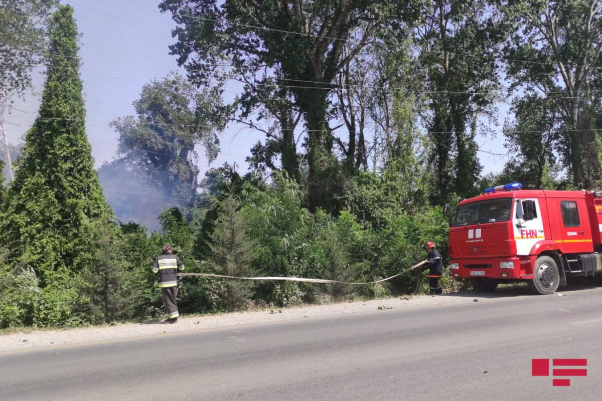 Лесной пожар в Хачмазе тушат два вертолета и самолет-амфибия-ФОТО -ВИДЕО -ОБНОВЛЕНО 