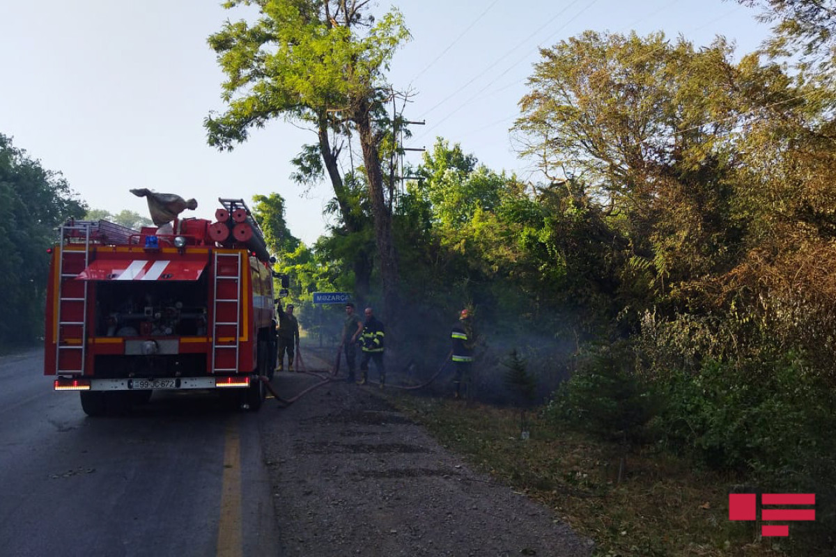 Лесной пожар в Хачмазе тушат два вертолета и самолет-амфибия-ФОТО -ВИДЕО -ОБНОВЛЕНО 