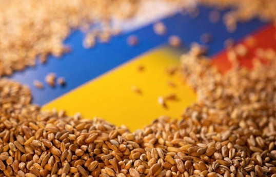 Министр: Россия и Украина близки к соглашению о зерне